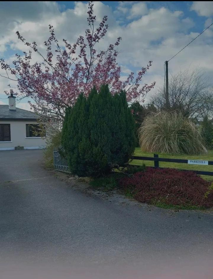 Parkhill House Self Catering Apartment Ballyshannon Luaran gambar